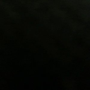 Meet your Posher, Alan